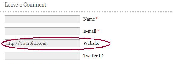 Comment Website URL Field