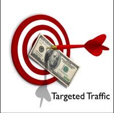 targeted website traffic image